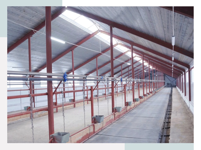 Строительство коровников в Лиски от 656 руб.