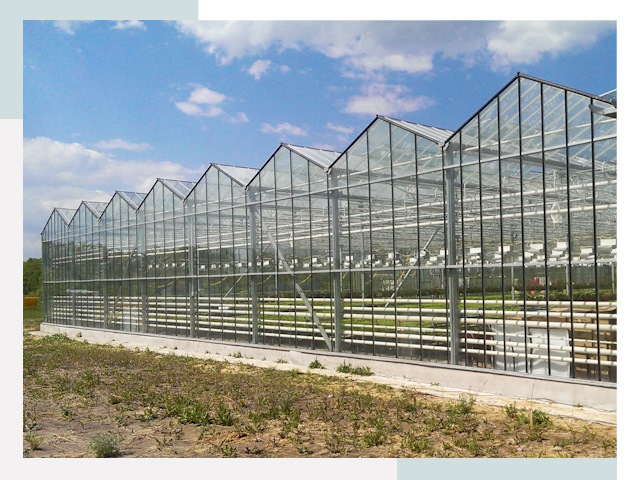Строительство теплиц в Лиски от 656 руб. за м²