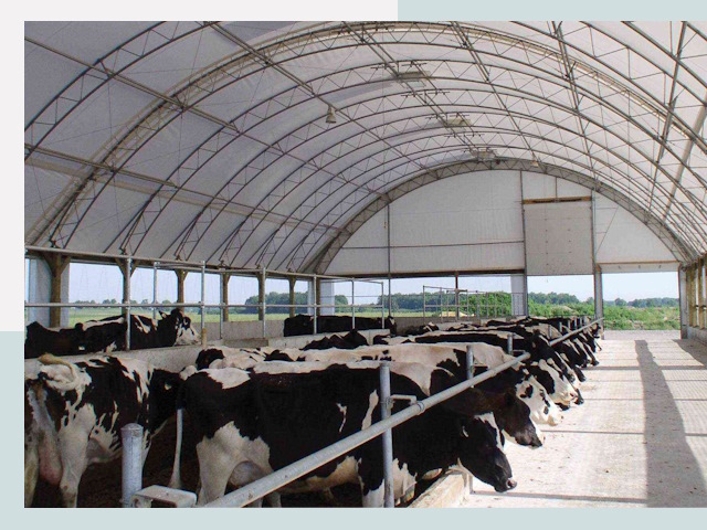 Тентовые коровники в Лиски